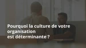 culturedevotreorganisation