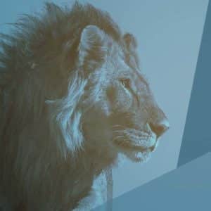 Les bases du ministère prophétique